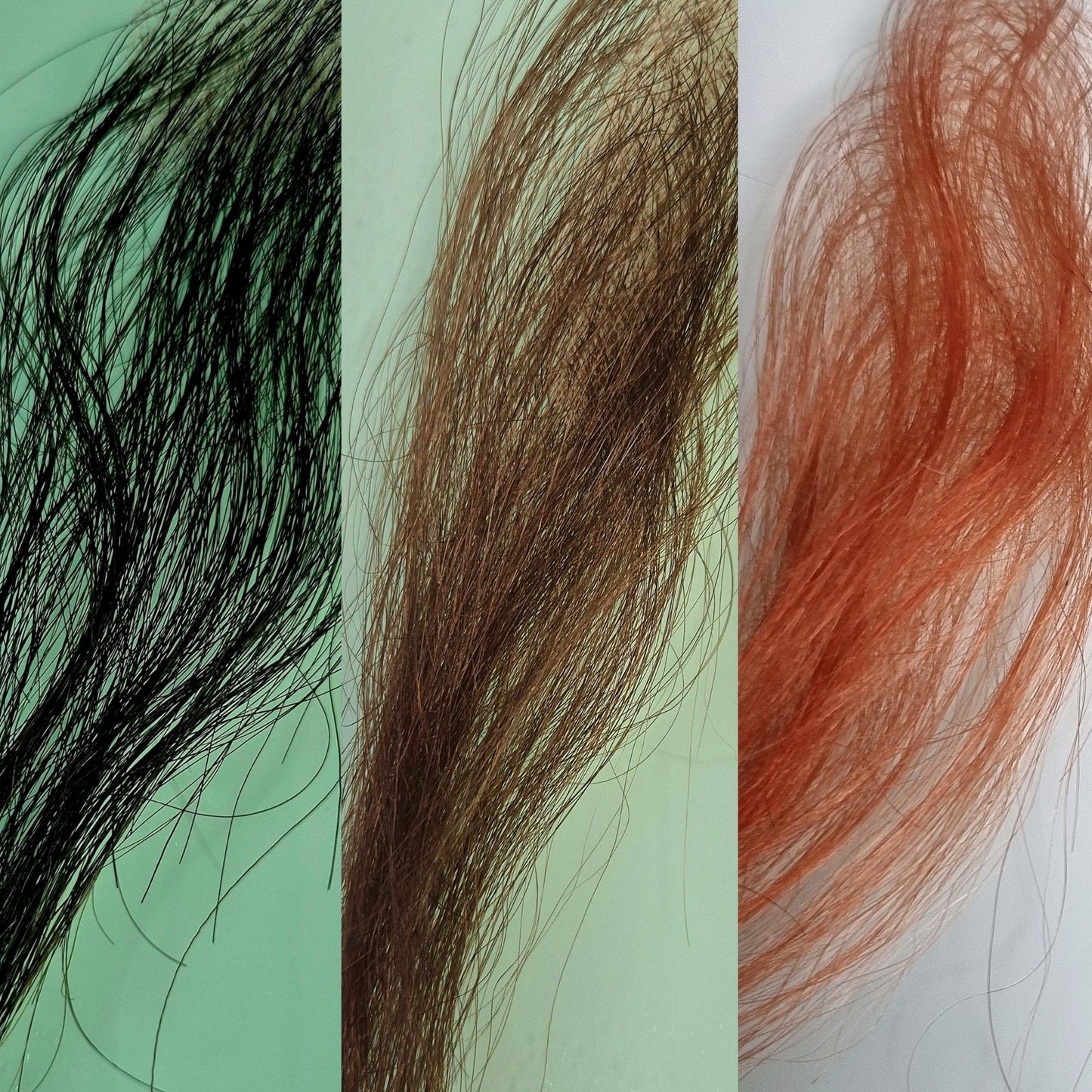 The Edge Harmony Set - A seamless hairline & sideburn solution