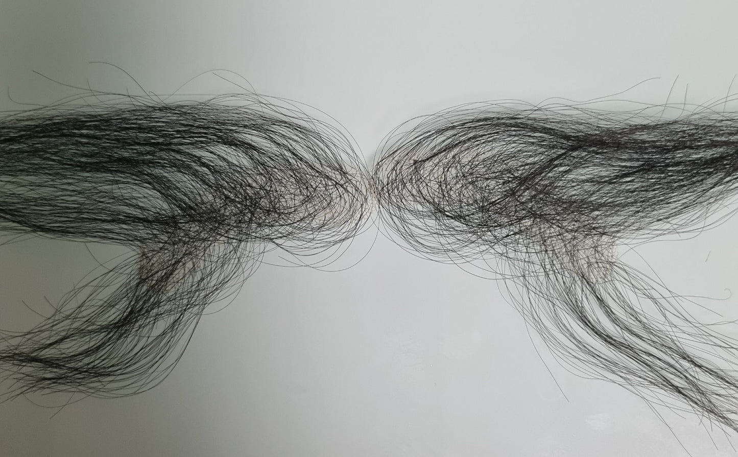 HD Lace natural hairline wig Lemy human hair