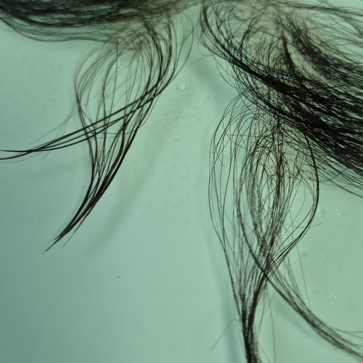 EdgeBabyHair - Sideburn Baby Hair Patch, Instant Face-Slimming & Natural Hairline Cover for Trendy Looks