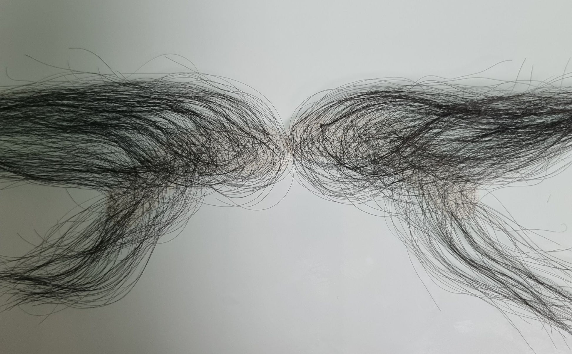 HD Lace natural hairline wig Lemy human hair